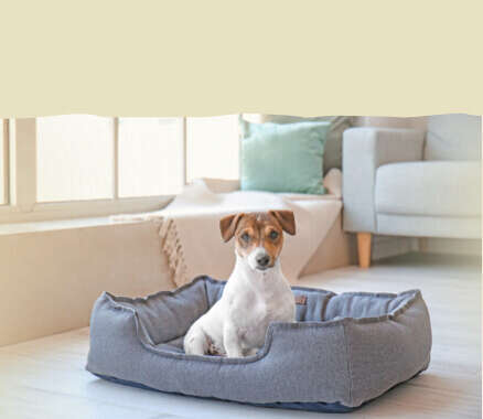 haustier hundebett banner c